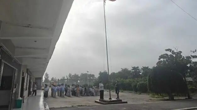 绿帽社